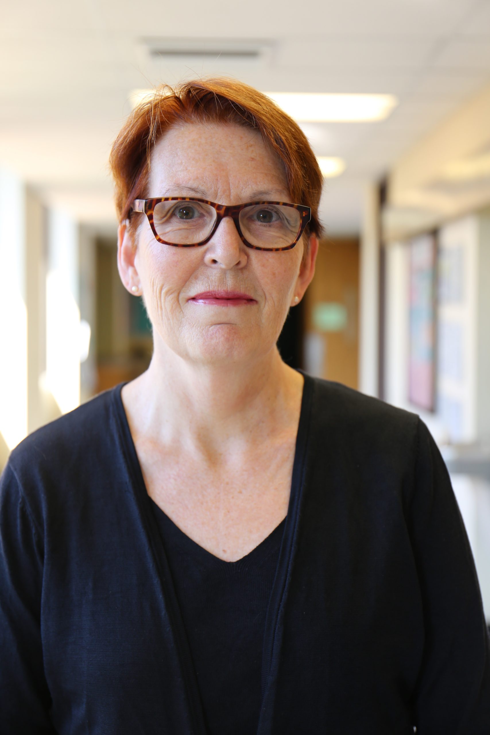 Marla Berg-Weger 2016 Photo of Marla Berg-Weger, P.h.D., LCSW